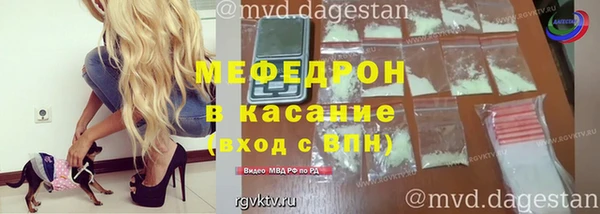 индика Вяземский