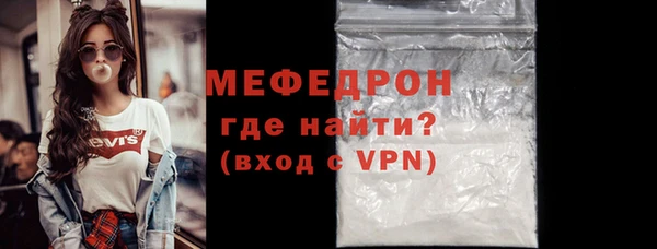 индика Вяземский