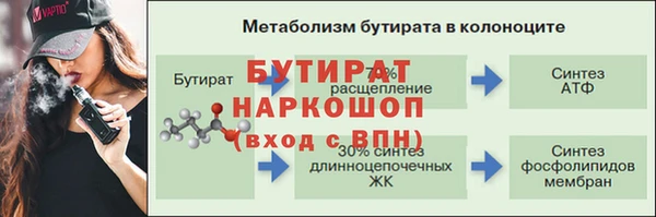 индика Вяземский