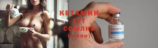 индика Вяземский