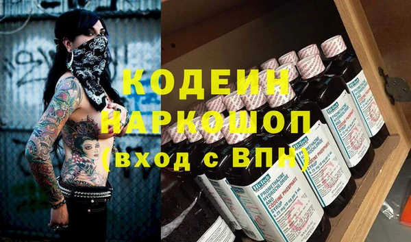 индика Вяземский