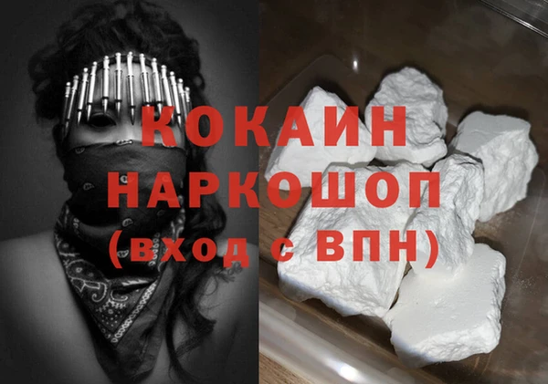 индика Вяземский