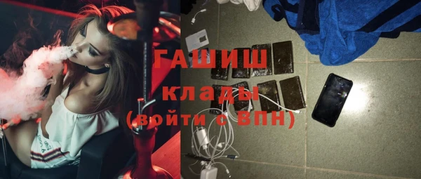 индика Вяземский